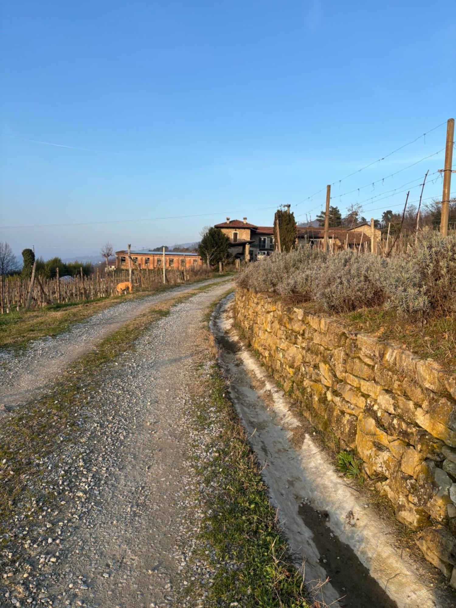 Agriturismo Tenuta San Giuseppe Cossano Belbo Exterior photo